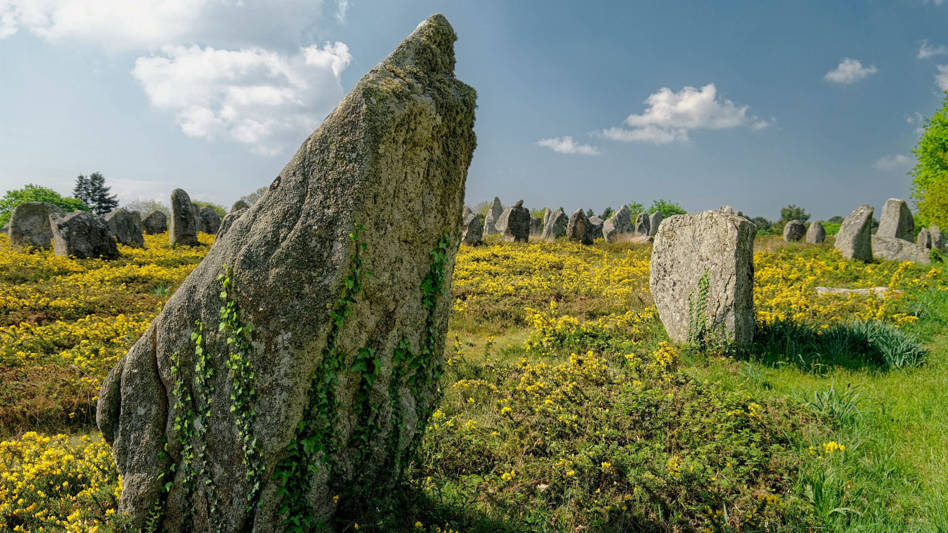 La Bretagne : une destination aux multiples découvertes pour toute la famille